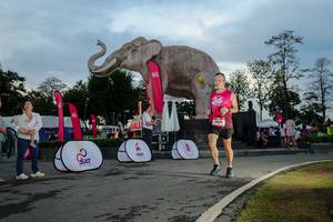 BIB: 
                            <button type="button" onclick="openModal(26529433)" class="btn btn-primary btn-sm float-right btn-popup" data-toggle="modal" data-target=".modal-high-quality">
                        <i class="fas fa-shopping-cart"></i> Add to Cart
                    </button>
                                            <button type="button" onclick="isThisMe(26529433, true)" class="btn btn-success btn-sm float-right btn-popup btn-isme hidden" data-toggle="tooltip" data-placement="bottom" title="นี่คือรูปของคุณใช่ไหม คลิกที่นี่เพื่อเอาเข้าอัลบั้ม">
                        <i class="fas fa-plus"></i> Add to album
                    </button>
                    <button type="button" onclick="isThisMe(26529433, false)" class="btn btn-warning btn-sm float-right btn-popup btn-isnotme hidden">
                        <i class="fas fa-ban"></i> Remove from album
                    </button>